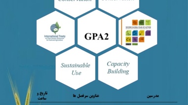 وبینار بین المللی مرتبط با طرح جامع اقدام جهانی منابع ژنتیکی گیاهی غذا و کشاورزی