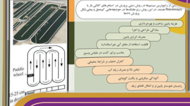 سخنرانی علمی با عنوان"ریزجلبک‌ها: از کشت سنتی تا کاربردهای نوین"